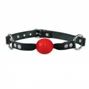 Кляпы, ошейники красный