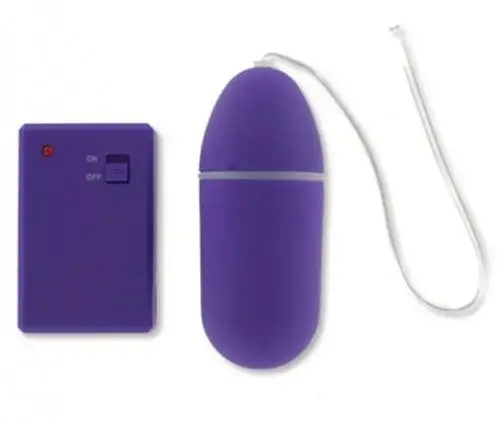 Виброяйцо FUNKY REMOTE DARK PURPLE photo 1