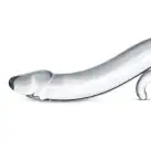 Скляний дилдо Gildo Glass Dildo No. 14, реалістична головка photo 3