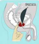 Массажер простаты с вибрацией 11,5смХ3,4см photo 3